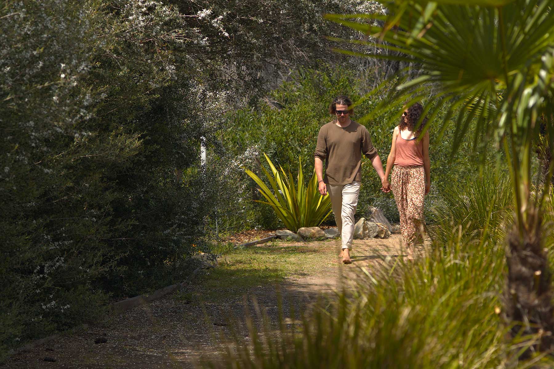 Bush Walking and Hiking Tathra South Coast NSW